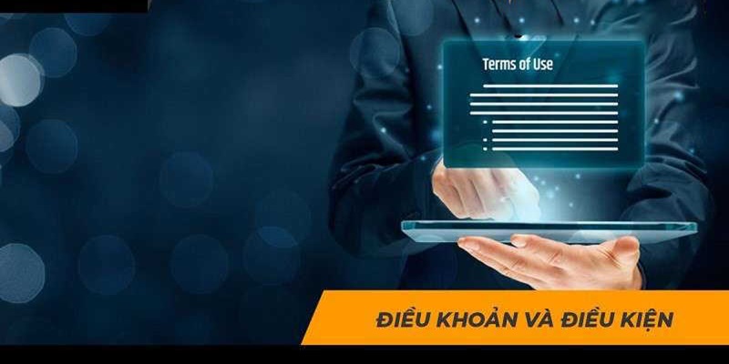 Các chính sách được ban hành trong suốt quá trình đăng ký của hội viên